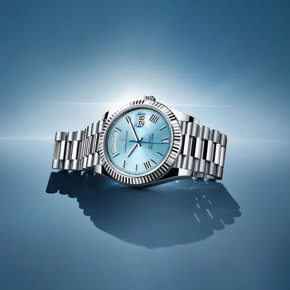 PAGANI DESIGN DD36 Auto Sapphire Luxury Men's Watch (50)