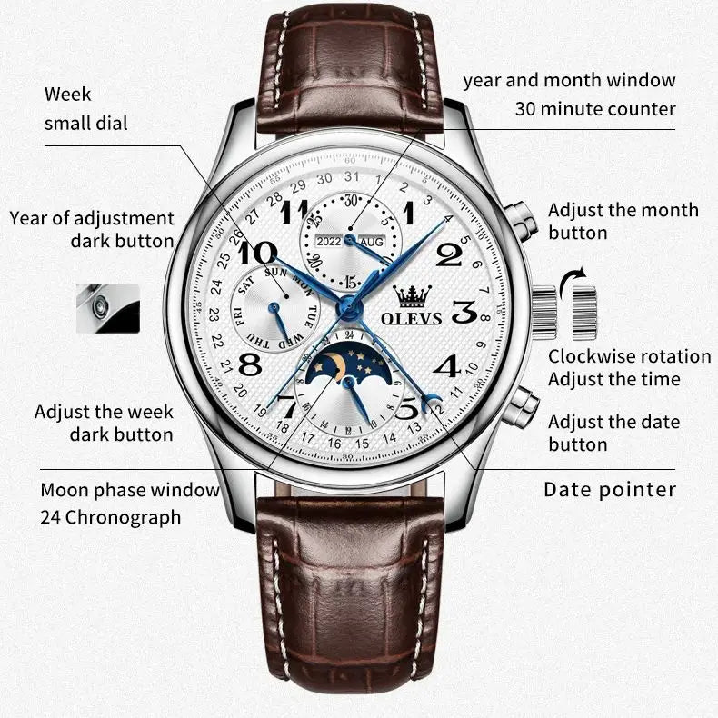 OLEVS 6667 - Luxury Original Men Automatic Mechanical Watch