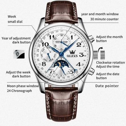 OLEVS 6667 - Luxury Original Men Automatic Mechanical Watch