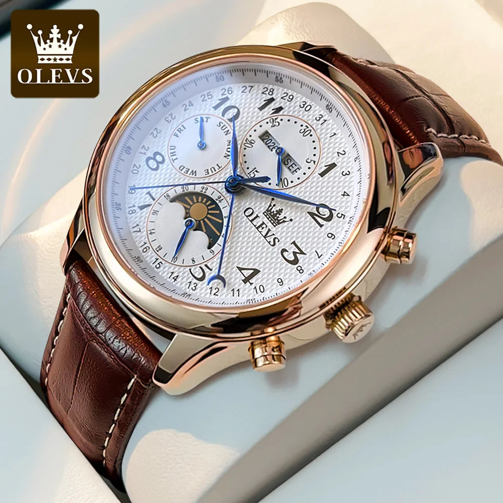 OLEVS 6667 - Luxury Original Men Automatic Mechanical Watch